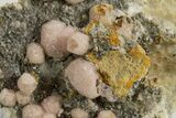 Sparkling Rhodochrosite After Calcite with Pyrite - Bulgaria #323950-1